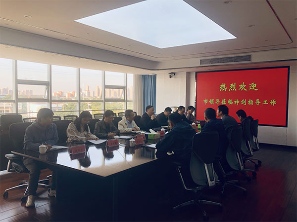 芜湖市政协副主席袁发林一行光临公司调研