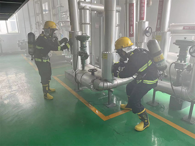 50fbbeecf2e84cd994714d751fc97855